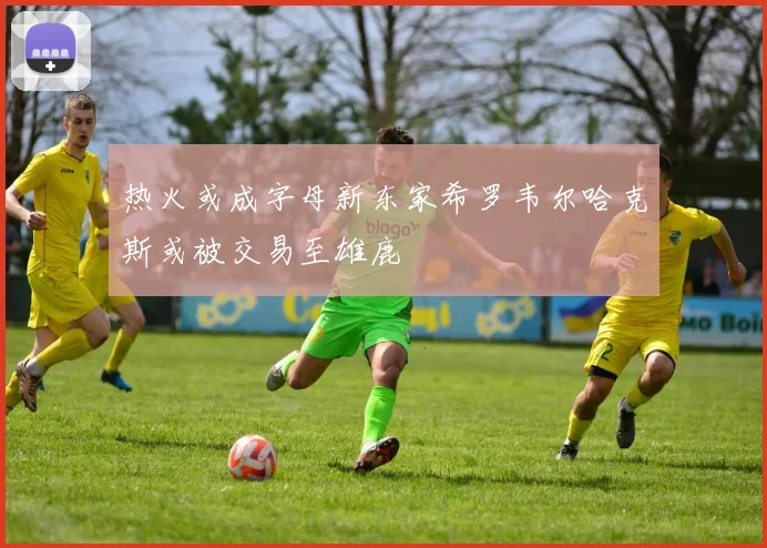 热火或成字母新东家希罗韦尔哈克斯或被交易至雄鹿