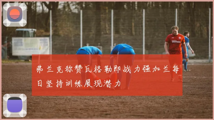 弗兰克称赞瓦格勒即战力强加兰每日坚持训练展现潜力
